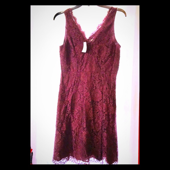 Burgundy lace cocktail dress BNWT - Picture 2 of 5